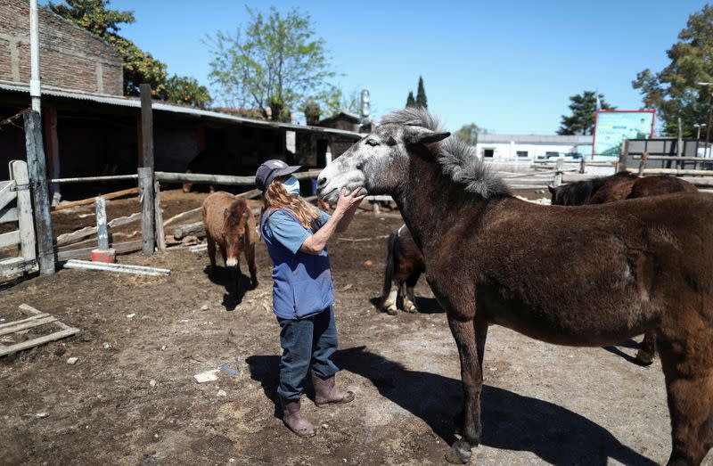 Nora Perez, President of APRE (Equine Rescue Protection Association), kisses a mistreated mule rescued by the association, at their refuge, in Lanus, on the outskirts of Buenos Aires