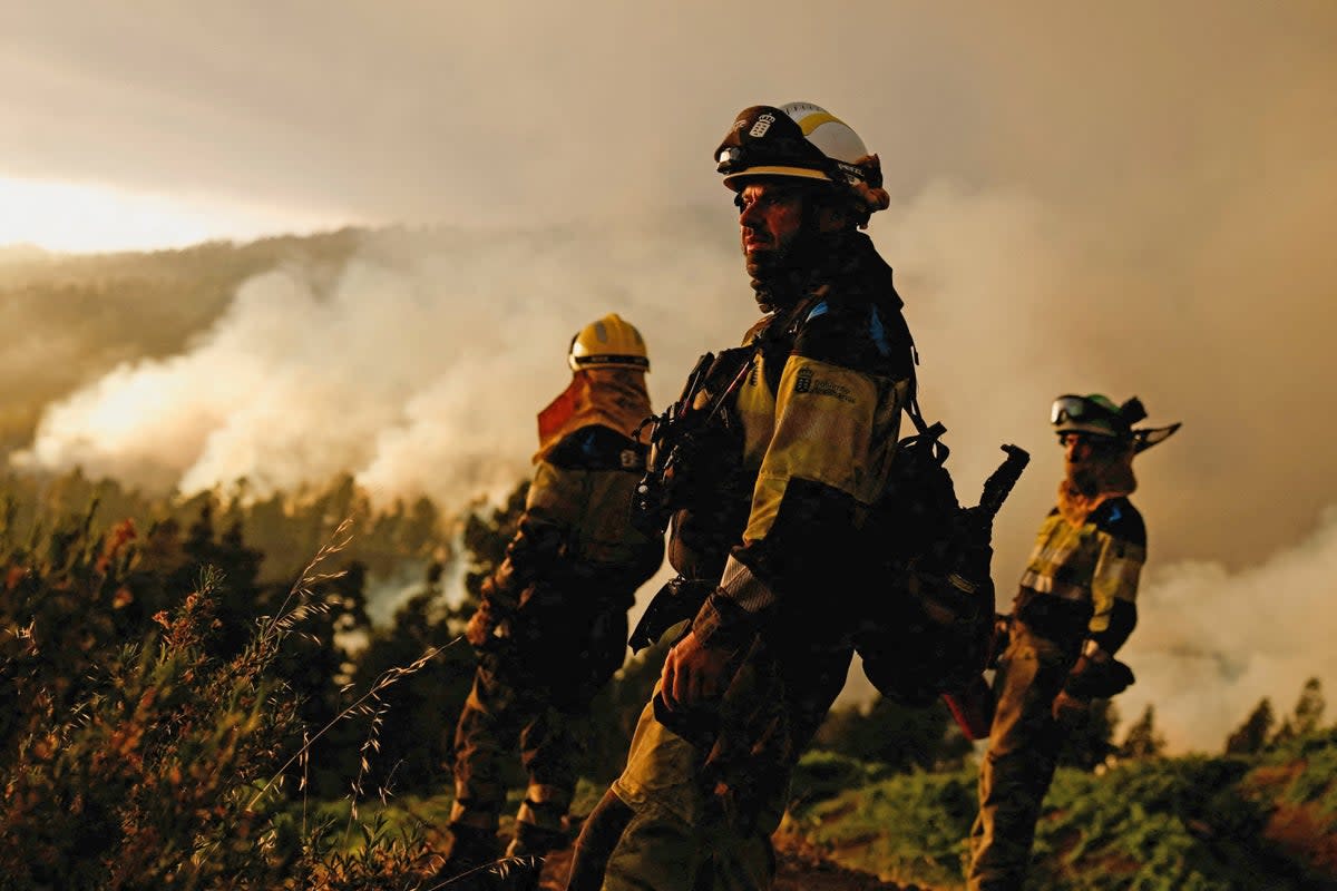 EIRIF forest firefighters work during the extinction of the Tijarafe fire on the Canary Island of La Palma, Spain July 16, 2023 (REUTERS)