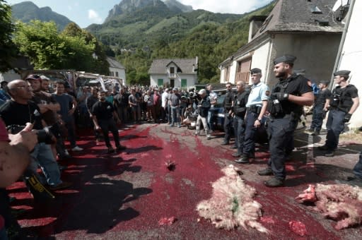In an earlier protest against the bears, farmers in the French Pyrenees scattered the bloody remains of a sheep in front of a local town hall