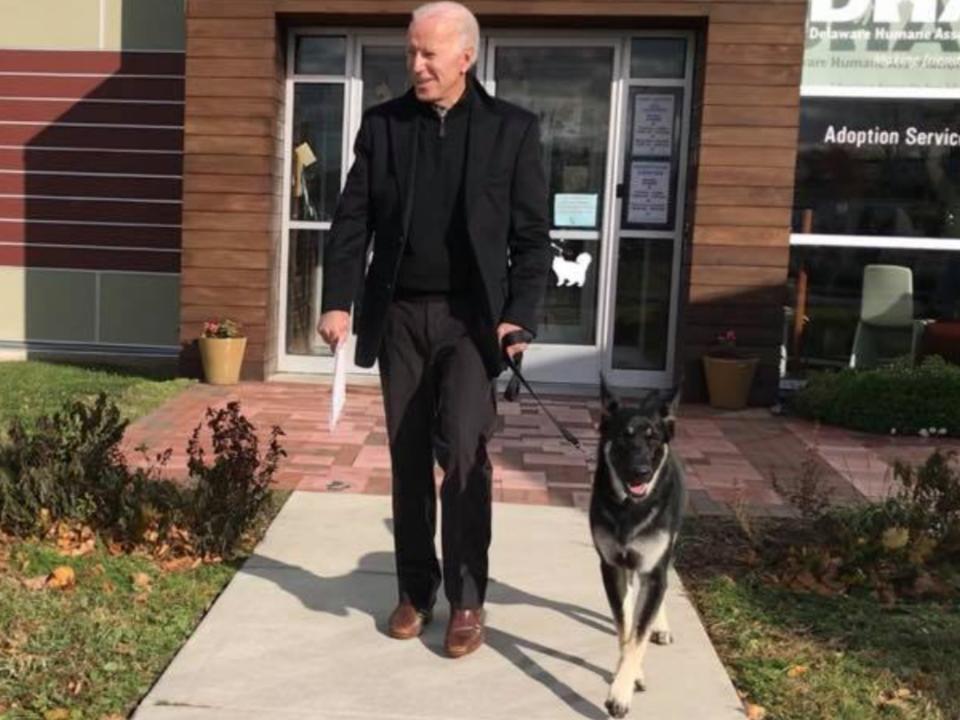 Joe Biden adopts rescue dog named Major