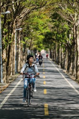 綠意濃濃的潭雅神自行車道中，迎面而來的風裡，充滿著樹香和花香。