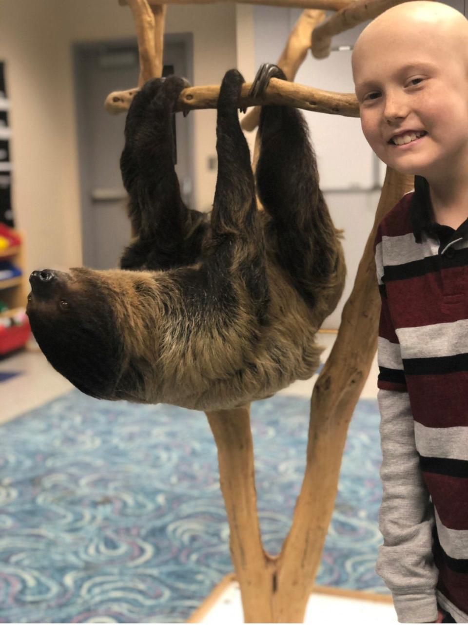 Ben Dixon of Fort Collins meets a sloth, his favorite animal, as part of the Wild Wishes program. Ben died from a rare bone cancer in 2021 at age 11.