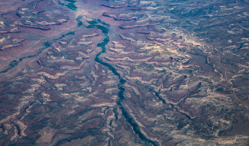 An aerial view of a riverbed now covered in vegetation and the dried-out tributaries that once fed into it.