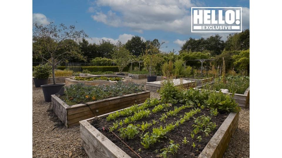 Blur star Alex James's vegetable patches at farmhouse in Kingham, Oxfordshire 