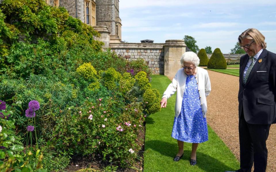 Duke of Edinburgh Rose -  Steve Parsons/PA