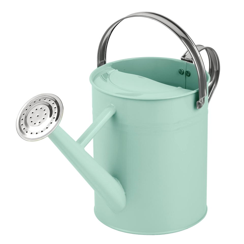 <p><a href="https://go.redirectingat.com?id=74968X1596630&url=https%3A%2F%2Fwww.walmart.com%2Fip%2FWatering-Can-Metal-Watering-Can-With-Removable-Spout-Perfect-Plant-Watering-Can%2F396270259&sref=https%3A%2F%2Fwww.goodhousekeeping.com%2Flife%2Fmoney%2Fg61208347%2Fwalmart-gardening-deals-june-2024%2F" rel="nofollow noopener" target="_blank" data-ylk="slk:Shop Now;elm:context_link;itc:0;sec:content-canvas" class="link ">Shop Now</a></p><p>Watering Can </p><p>walmart.com</p><p>$19.99</p>