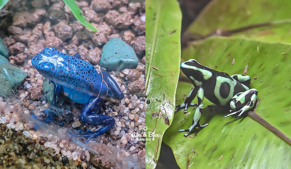 台中｜國立自然科學博物館植物園