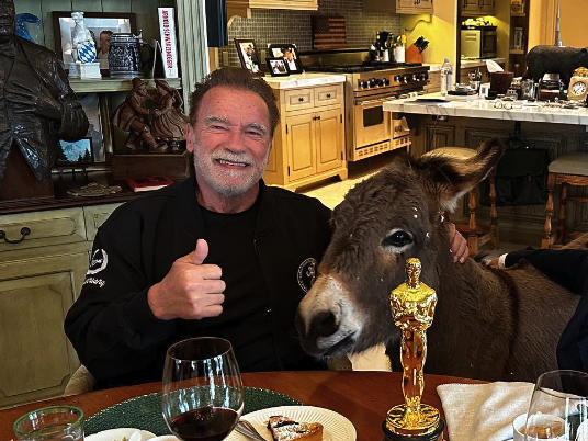 <span><span>Schwarzenegger with Lulu the mini donkey</span></span>