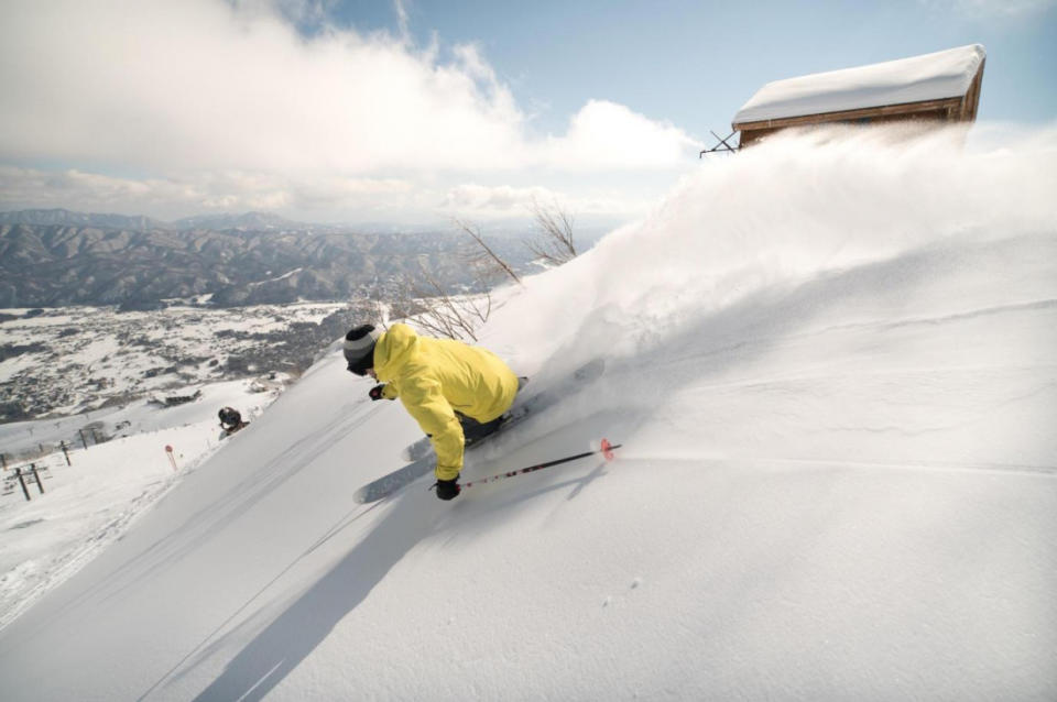 （圖片提供：白馬八方尾根滑雪場）