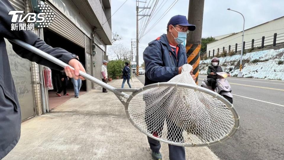 被麻醉槍射中的狒狒被抓到。（圖／民眾提供）