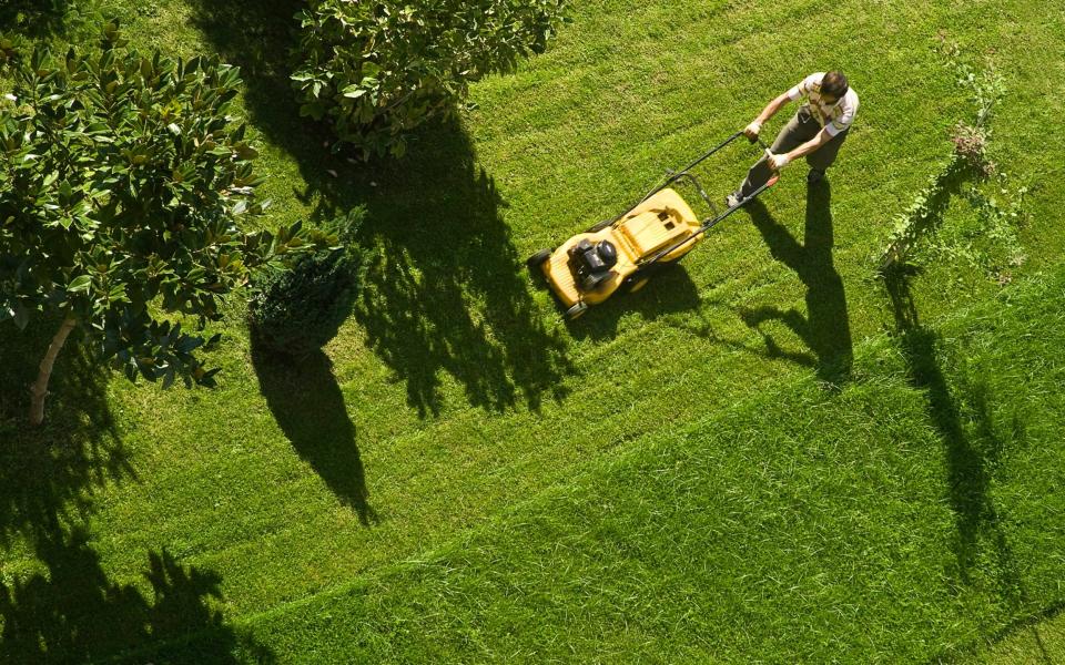 best lawnmowers 2021 - Getty Contributor