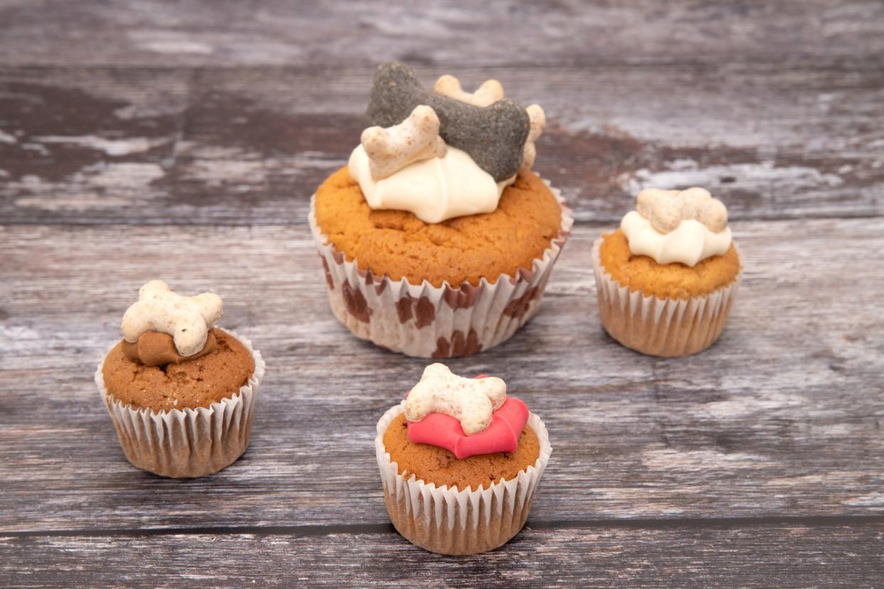 dog treat cupcakes