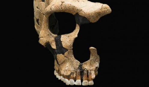<span class="caption">A Neanderthal skull shows head trauma, evidence of ancient violence</span> <span class="attribution"><a class="link " href="http://humanorigins.si.edu/evidence/human-fossils/fossils/saint-c%C3%A9saire" rel="nofollow noopener" target="_blank" data-ylk="slk:Smithsonian National Museum of Natural History;elm:context_link;itc:0;sec:content-canvas">Smithsonian National Museum of Natural History</a></span>