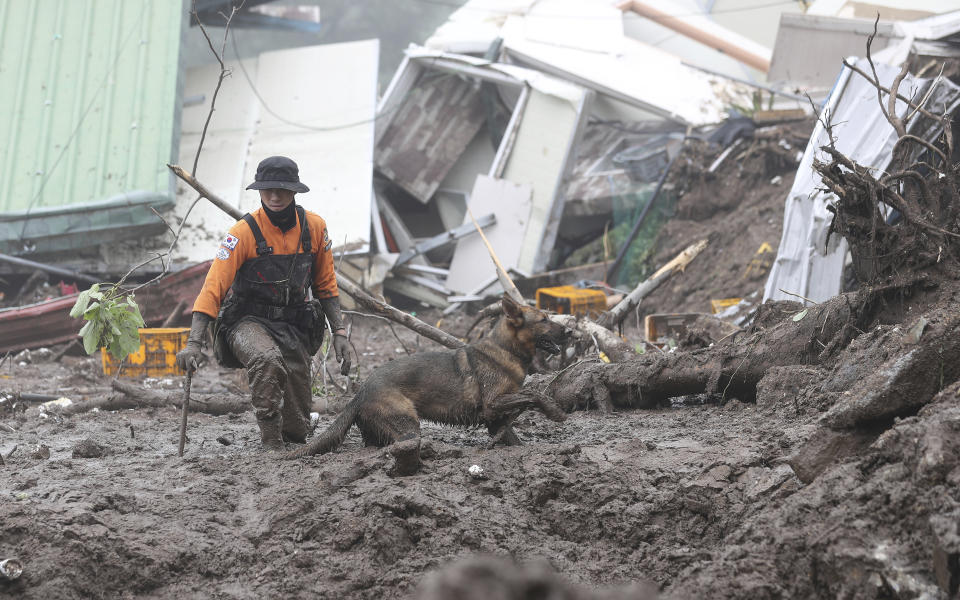 A rescue worker with a dog searches for people at the site of a landslide caused by heavy rain in Yecheon, South Korea, Sunday, July 16, 2023. Days of heavy rain triggered flash floods and landslides and destroyed homes, leaving scores of people dead and forcing thousands to evacuate, officials said Sunday. (Yun Kwan-shick/Yonhap via AP)