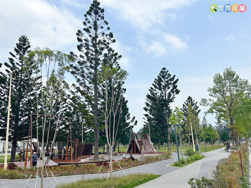 桃園龍潭綠杉林公園