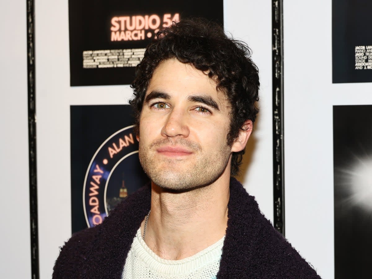Darren Criss has previously been cautious about speaking about playing LGBTQ+ roles (Getty Images)