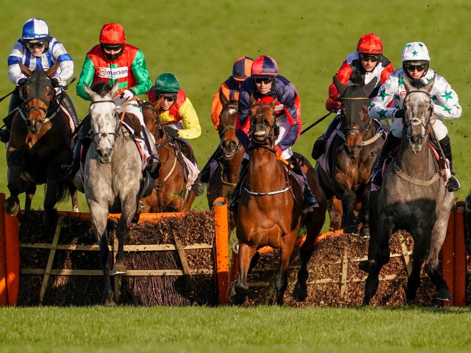 A general view of Cheltenham Festival (Getty Images)
