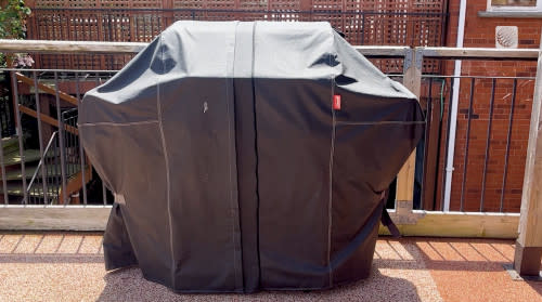 Victoria Fenn Alverado (The Weather Network): Barbecue cover