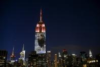 An image of Cecil the lion is projected onto the Empire State Building as part of an endangered species projection to raise awareness, in New York August 1, 2015. (REUTERS/Eduardo Munoz)