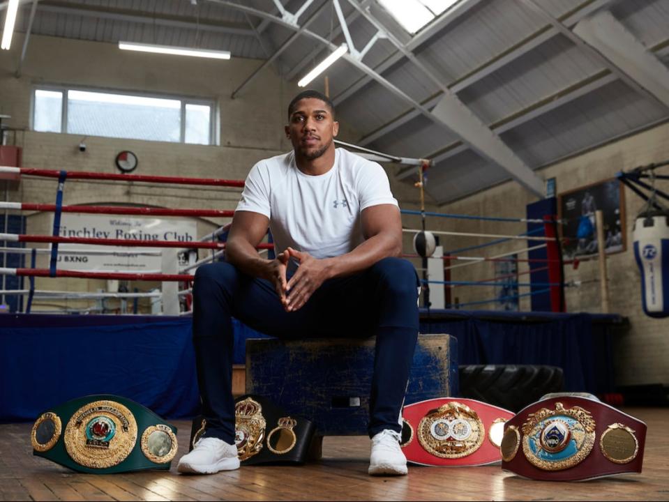 <p>Anthony Joshua poses with his world titles at Finchley ABC</p>Mark Robinson