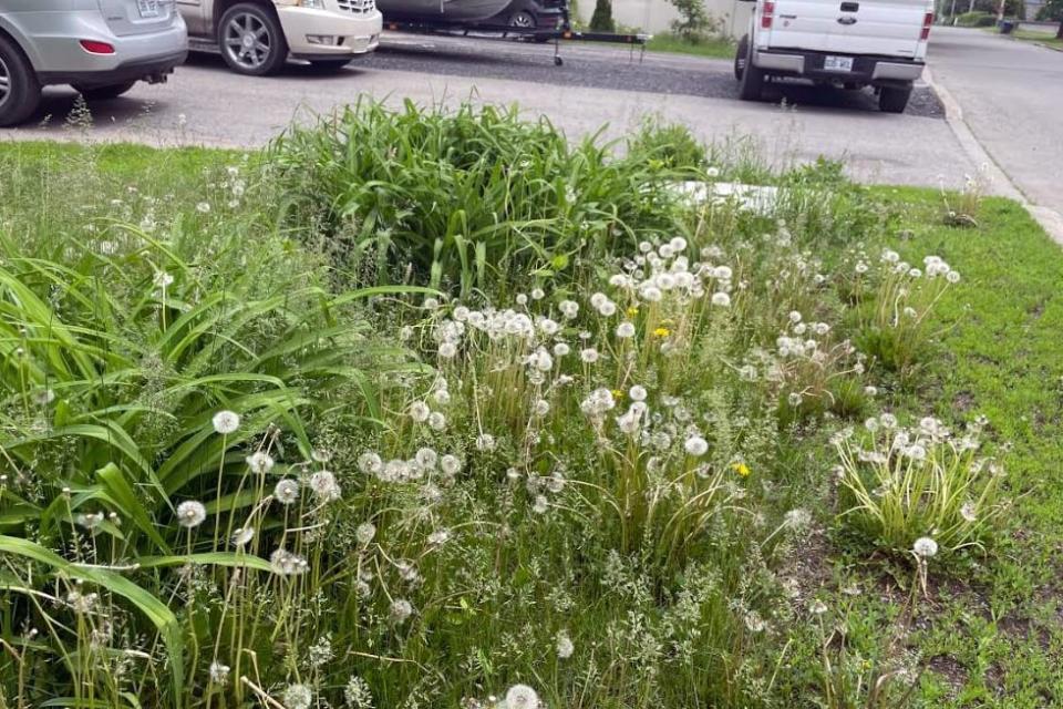 Julie Delisle, the environmental education liaison at Kahnawake Environment Protection Office, said about 60 people signed up to participate.