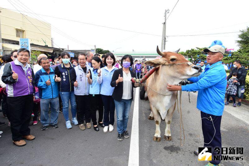 ▲彰化縣政府在芳苑鄉普天宮前廣場辦理「2020國際海牛文化節」活動，讓民眾搭牛車到潮間帶體驗。（圖／記者陳雅芳攝，2020.11.08）