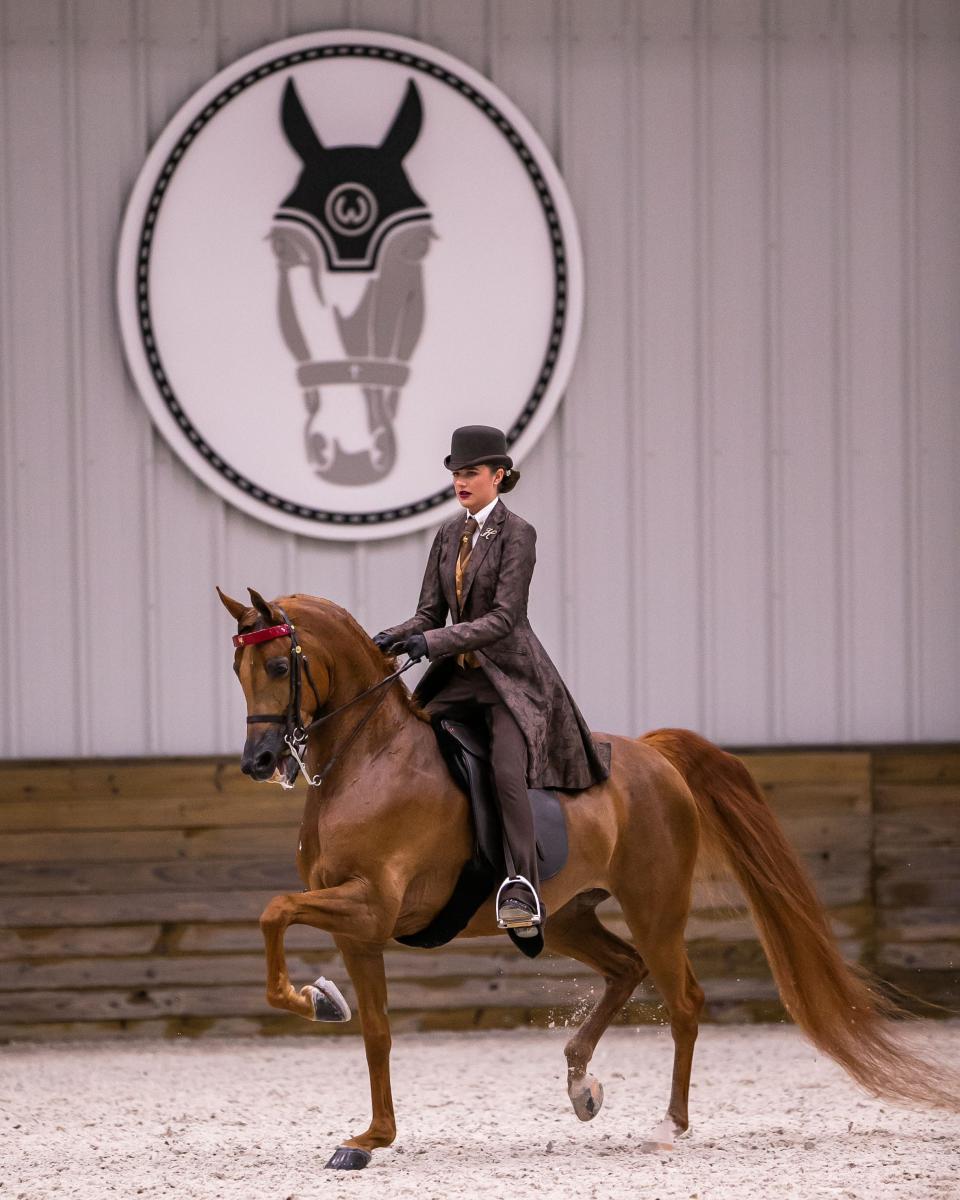 The World Equestrian Center in Ocala.