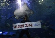 A professional diver holds a "Welcome 2014" banner while swimming next to a stingray during New Year celebrations inside a large aquarium at a ocean park in Manila December 31, 2013. Neither an earthquake nor a super typhoon have dampened the country's optimism as 94 percent are entering the New Year with hope instead of fear, according to a new survey by pollster Social Weather Stations reported on Tuesday. REUTERS/Romeo Ranoco (PHILIPPINES - Tags: SOCIETY)