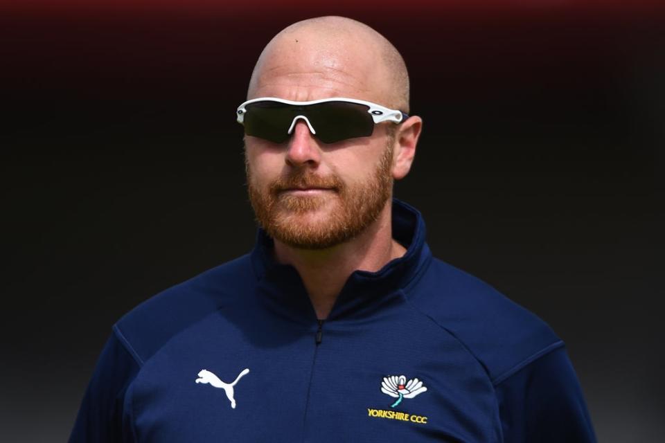 Andrew Gale had been Yorkshire’s head coach since 2016  (Getty Images)