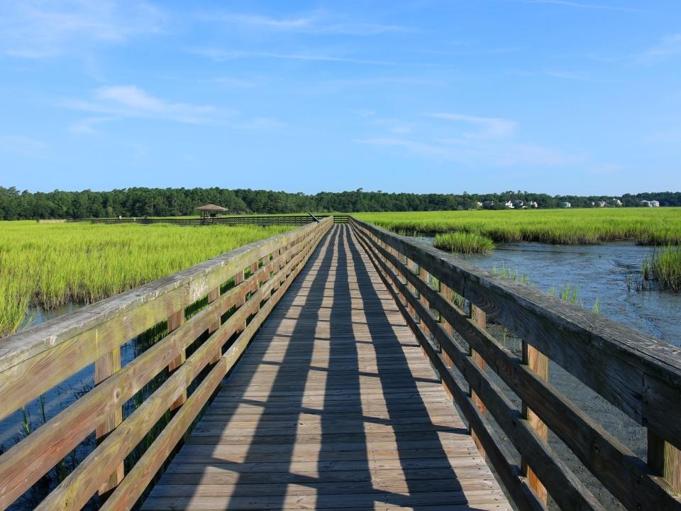Huntington Beach State Park, South Carolina, USA.Scenic view from the wooden boardwalk on the expansive salt marsh during sunny morning.