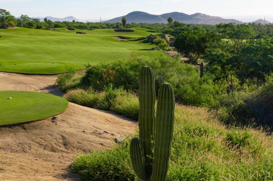 Cabo Del Sol Course