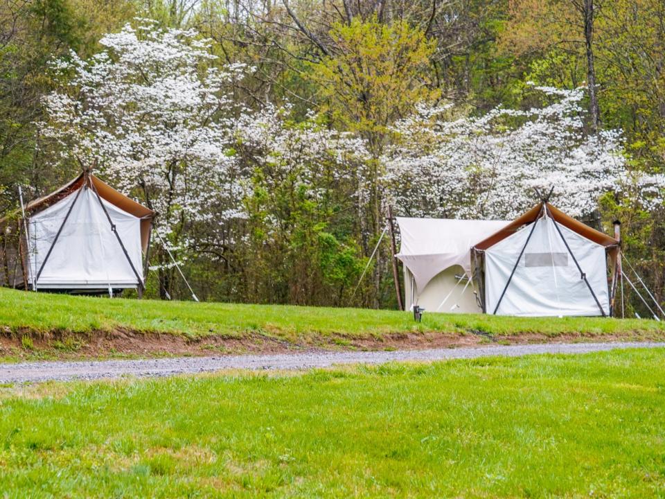 Tents at the Under Canvas resort's Great Smoky Mountains locarion.