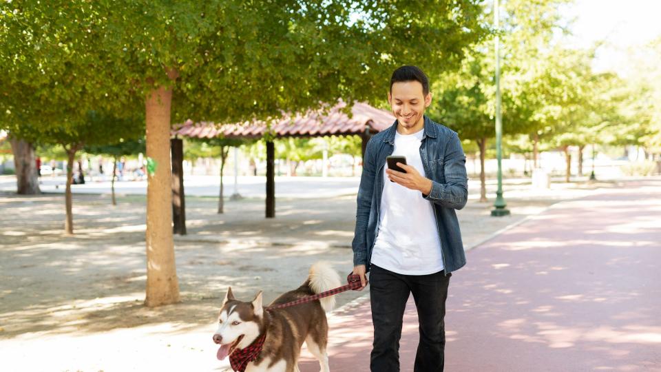 Man on phone while walking dog