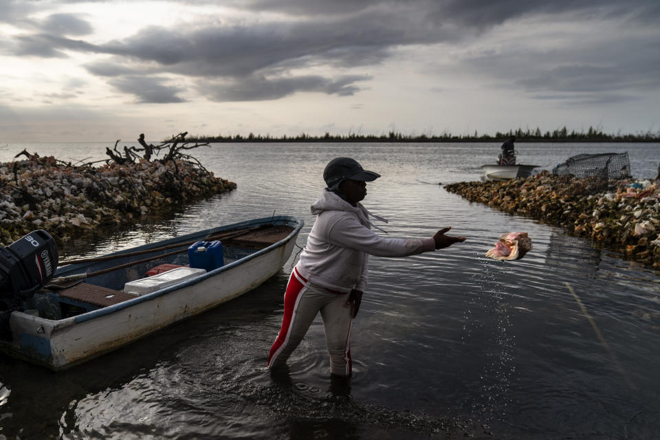 Tereha Davis tosses a conch shell off to the side as she prepares to launch her boat to go conch fishing off the coast of McLean's Town, Grand Bahama Island, Bahamas, Monday, Dec. 5, 2022. Five generations of Tereha Davis' family have fished for conch from waters around the Bahamas that teemed with the shellfish for centuries. But in recent years, Davis and conch fishers like her have had to go farther and farther from shore to find the mollusks. (AP Photo/David Goldman)