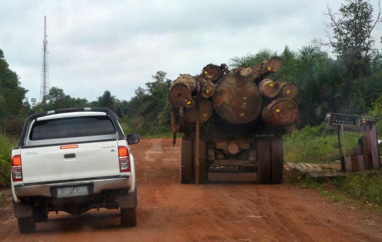 Indonesia has some of the world's most extensive and biodiverse rainforests, but huge swathes have been chopped down by palm oil, mining and timber companies