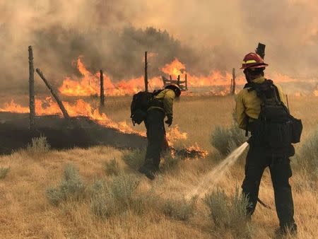 Wildland Firefighters battle the Bridge Coulee Fire, part of the Lodgepole Complex, east of the Musselshell River, north of Mosby, Montana, U.S. July 21, 2017. Bureau of Land Management/Jonathan Moor/Handout via REUTERS