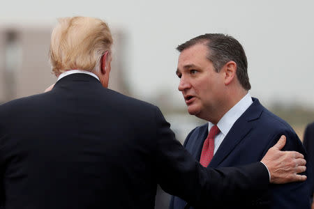 FILE PHOTO: U.S. Senator Ted Cruz (R-TX) greets U.S. President Donald Trump (L) upon arriving at the Ellington Field Joint Reserve Base in Houston, Texas, U.S., October 22, 2018. REUTERS/Leah Millis/File Photo