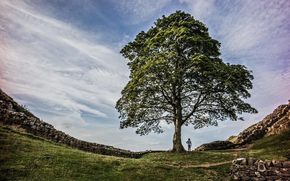 Hadrian’s Wall is rather less tense - Getty