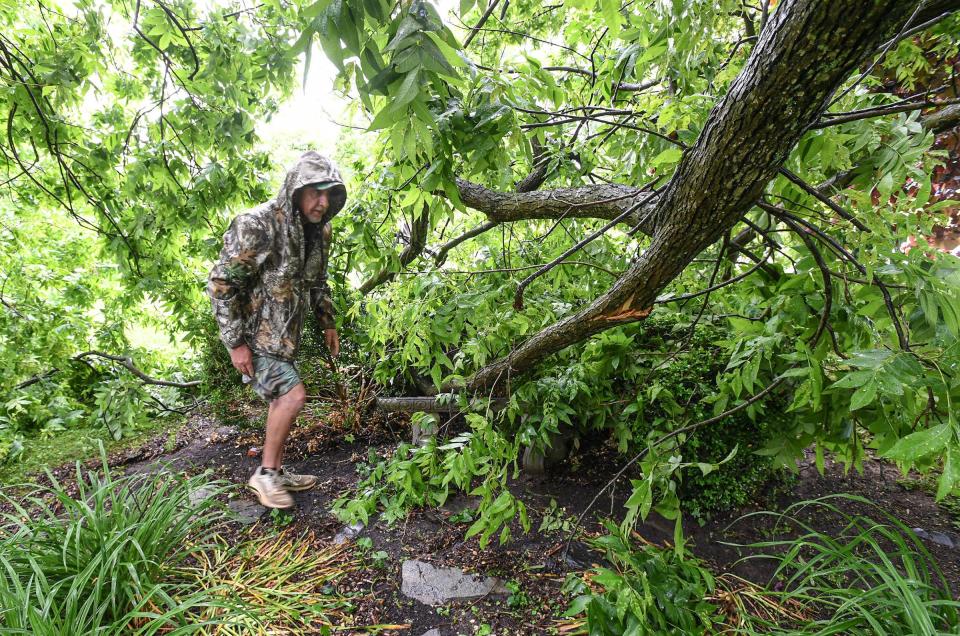 Tim Pace, Honea Path Recreation Director, looks at a fallen pecan tree in Dogwood Park near Town Hall, after an early morning storm came through Anderson County, S.C. Thursday, May 9, 2024.