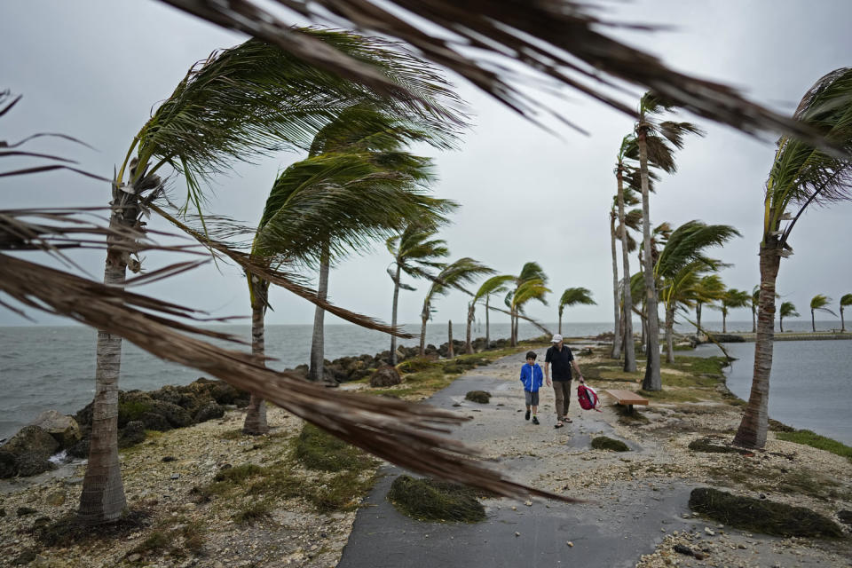 Image: Debris and palm trees blow in gusty winds and rain in Florida (Rebecca Blackwell / AP)