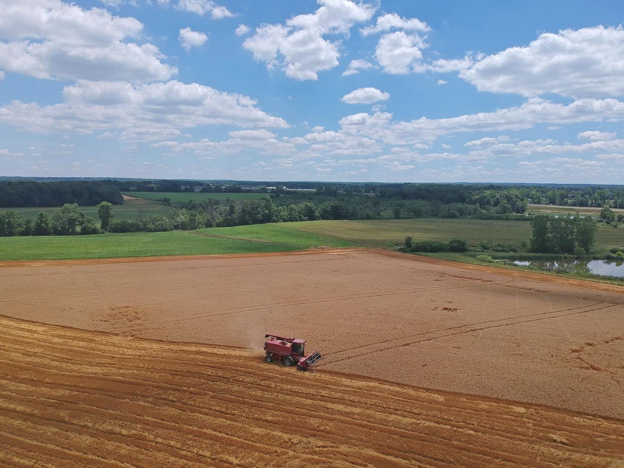 A wheat field in Crawford County is harvested in the summer of 2020.