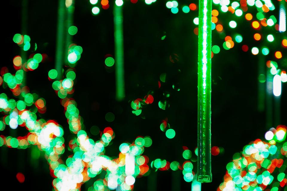 Snowfall lights hang from trees at the Buhidar home at 617 Carmel Parkway in Corpus Christi Thursday, Dec. 14, 2023.