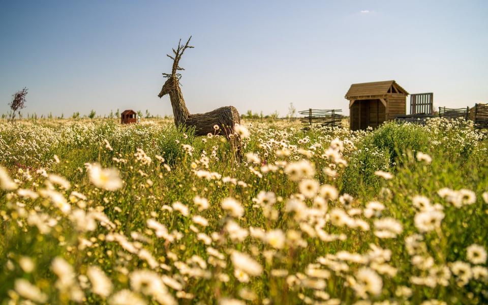 Mad Hatters in Cambridgeshire work alongside local wildlife trusts to increase their biodiversity