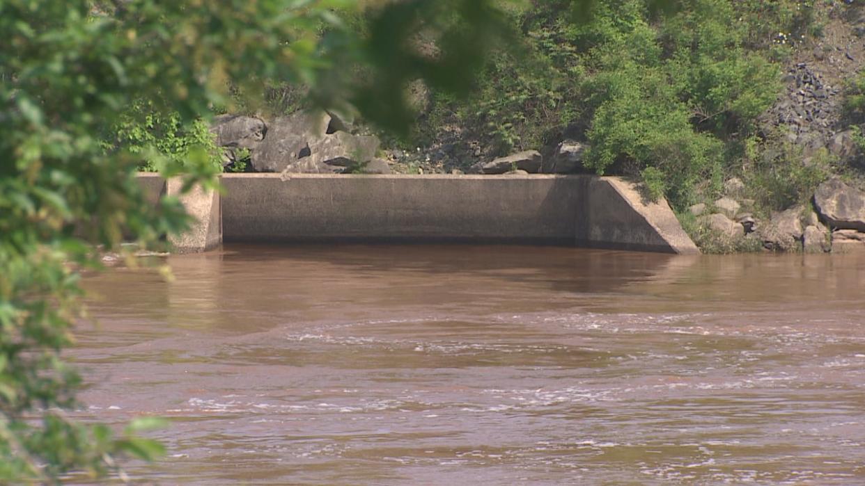 The aboiteau gates under the Highway 101 causeway in Windsor are pictured in 2023. (Paul Palmeter/CBC - image credit)