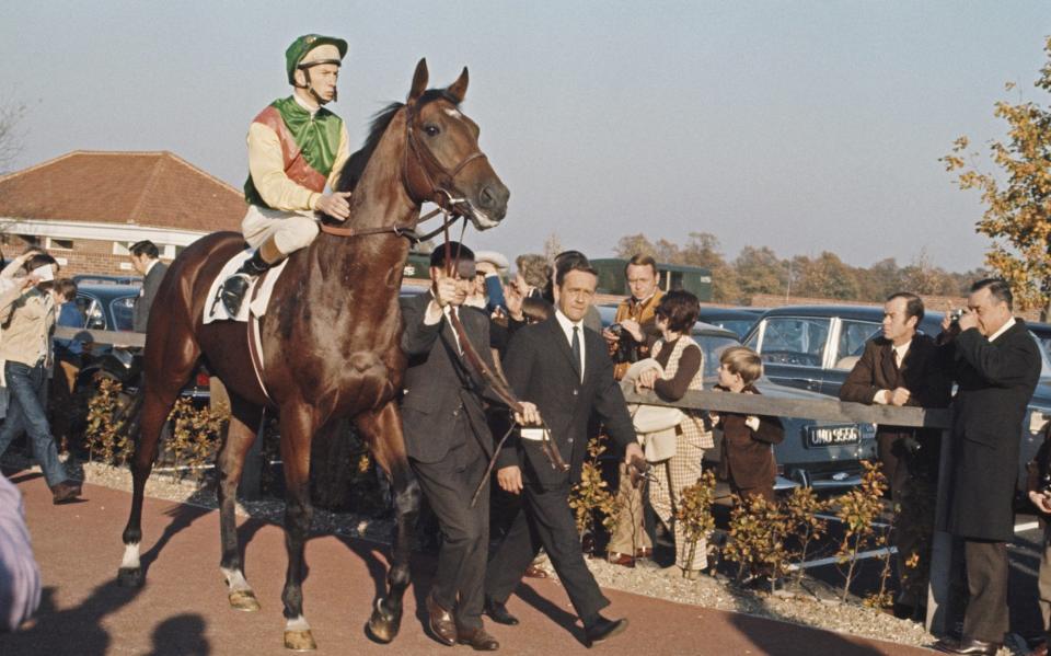 Piggott atop Nijinsky - GETTY IMAGES