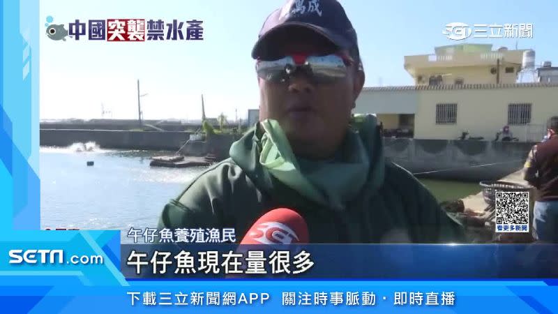 對於午仔魚被禁，漁民感到相當憂心。