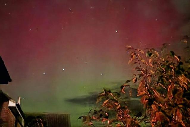 aurora best pics on X: are you going to scarborough fair? parsley