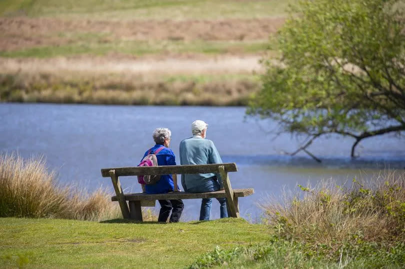 People looking out in Richmond Park