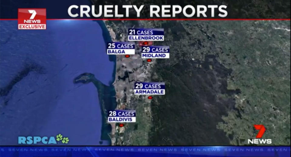 Armadale and Midland have each recorded 29 animal cruelty complaints, followed by 28 in Baldivis, 25 in Balga and 21 in Ellenbrook. Source: 7 News