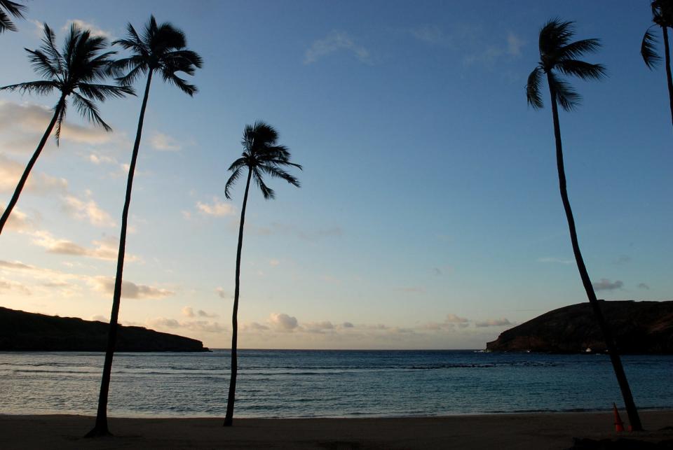 honolulu hawaii hanauma bay oahu